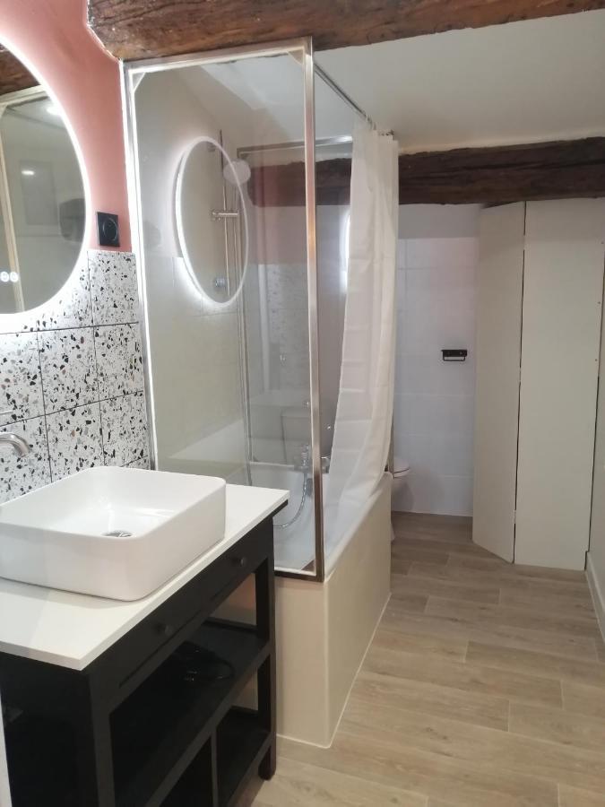 Le Studio D'Emma Apartamento Romans-sur-Isère Exterior foto